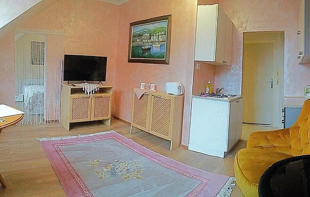 Fantasy Apartment Karlovy Vary 0*,  Czech Republic